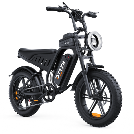 DTTZH Electric Bike