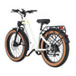 Big Sur Electric Bike