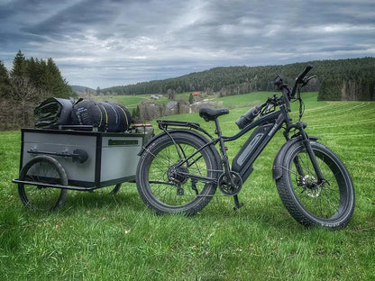 D3(Cruiser) / Long Range Fat Tire Electric Bike