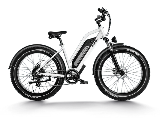 D3 ST(Cruiser ST) / All Terrain Step Thru Electric Bike