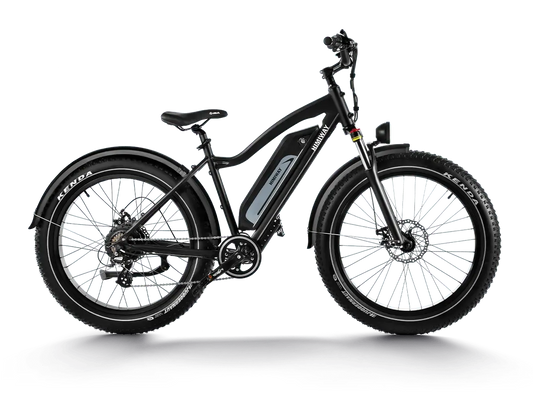 D3(Cruiser) / Long Range Fat Tire Electric Bike