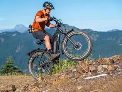 D3(Cruiser) / Long Range Fat Tire Electric Bike