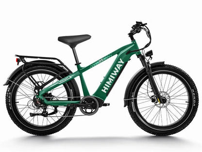D5(Zebra) / Premium All-terrain Electric Fat Bike