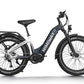 D5 Pro ST / Premium All-terrain Electric Fat Bike