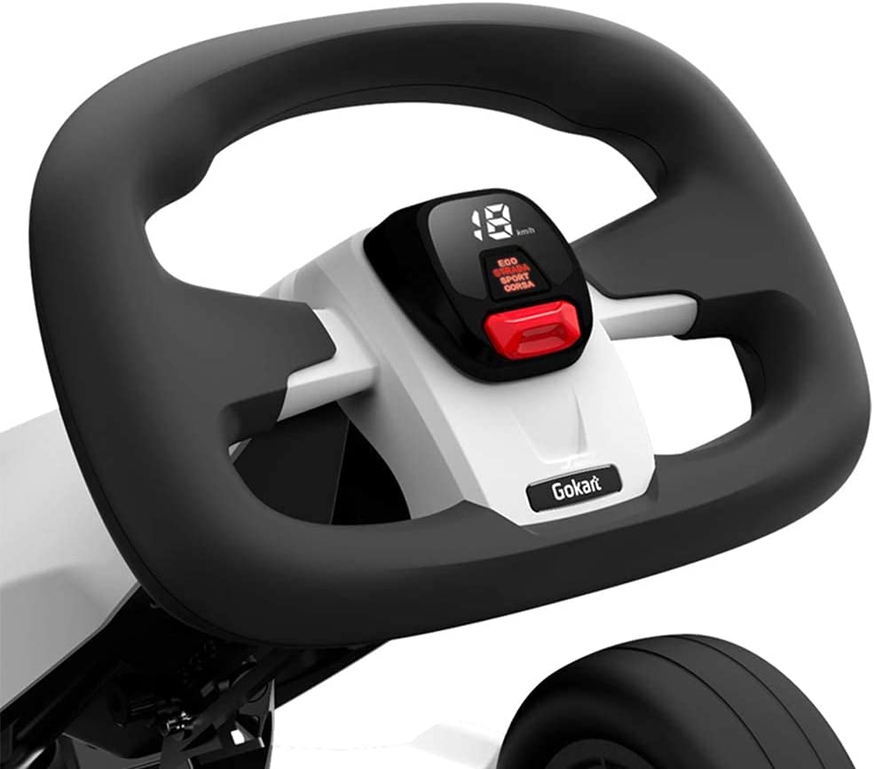 Speedometer for Ninebot Gokarts