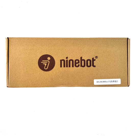 Charger for Segway eMoped C80