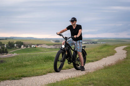 D3(Cruiser) / Long Range Fat Tire Electric Bike