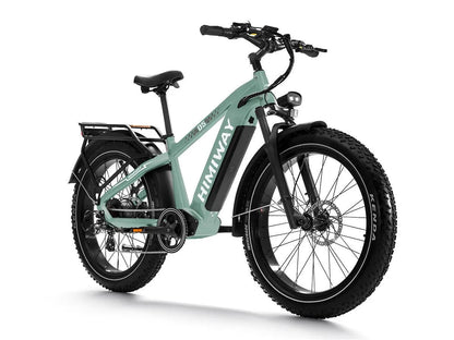 D5(Zebra) / Premium All-terrain Electric Fat Bike